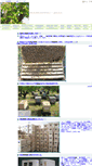 Mobile Screenshot of farm41.easy-magic.com